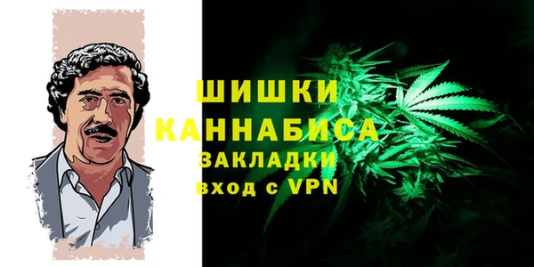 COCAINE Белокуриха